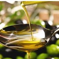 Volano le esportazioni di olio d’oliva  "Made in Puglia "