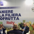Presentati i risultati del Contratto di Filiera “Paniere della filiera ortofrutta made in Italy”