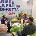 Nelle scuole distributori di frutta e spuntini salutari