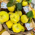 Puglia: Il cibo è centrale nelle sagre
