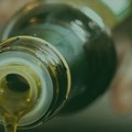 Sanse, digitale e 5G, il futuro competitivo dei frantoi oleari