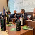 “Corato Cultivar Bellezza”:  Il nuovo brand di una delle varietà olearie di Puglia