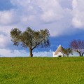 La Puglia protagonista per stile di vita e sviluppo sostenibile