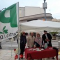 Il referendum è un’occasione cruciale di democrazia
