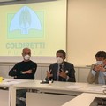 Agricoltura: piano straordinario per l’emergenza Covid nelle campagne in Puglia