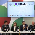 Radici virtuose: il progetto di rigenerazione agroalimentare del Salento