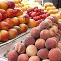 In crescita l'export pugliese di frutta e ortaggi