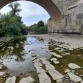 Il Fiume Ofanto è diventato un fiume di pozzanghere