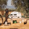 Alla scoperta delle meraviglie di Puglia