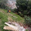 Canosa: Al via la rimozione dei  rifiuti nella Pineta della Zona Castello