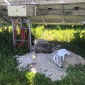 Canosa: furti di rame, sventrato  un campo fotovoltaico