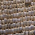 I sacerdoti, un dono per la comunità