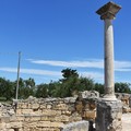 Canosa: Il parco olivetato di San Leucio per  “FRANTOI APERTI”