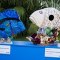 Ultimi giorni per partecipare alla V edizione del Premio ArpAmare 2025
