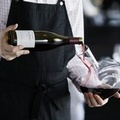 Fiera Vinitaly: grande vetrina dei vini Italiani, ha entusiasmato le nostre imprese canosine