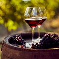 Un aumento del 25% delle giacenze di vino DOP nelle cantine pugliesi