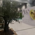 La Puglia alla 17esima Edizione di Olio Capitale a Trieste