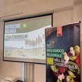 Qualità del cibo e lotta allo spreco