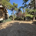 Canosa:  Riapre di Villa Petroni