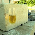 Il Terrizuolo da Conegliano Veneto a Canosa di Puglia
