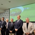 Rilancio dei frantoi come cuore pulsante della filiera olivicola