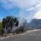 Canosa: Incendio nella pineta di via Corsica
