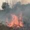 Incendi : "Una ferita profonda al nostro territorio. Servono prevenzione, mezzi e personale"