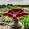 Aumento del costo dell’acqua :attività agricola non sostenibile