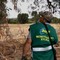 Xylella fastidiosa: Un tavolo tecnico interistituzionale per un aggiornamento della situazione