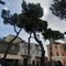 Il verde urbano un alleato fondamentale per la salute e la qualità della vita nelle città