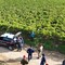 Scoperti lavoratori in nero dai Carabinieri nella campagna ofantina