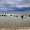 Verso Trani Triathlon Olimpico Gara Gold & Aquathlon