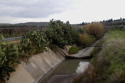 Canale Lamapopoli