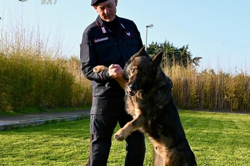 Carabinieri