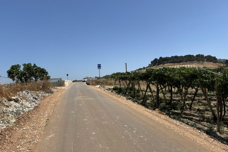Canosa