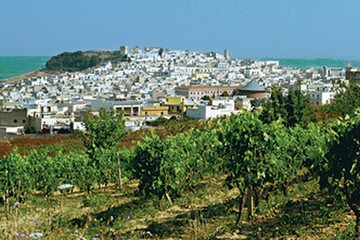 Panorama Canosa di puglia