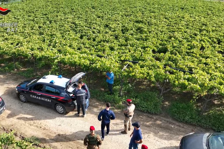 Carabinieri Caporalato