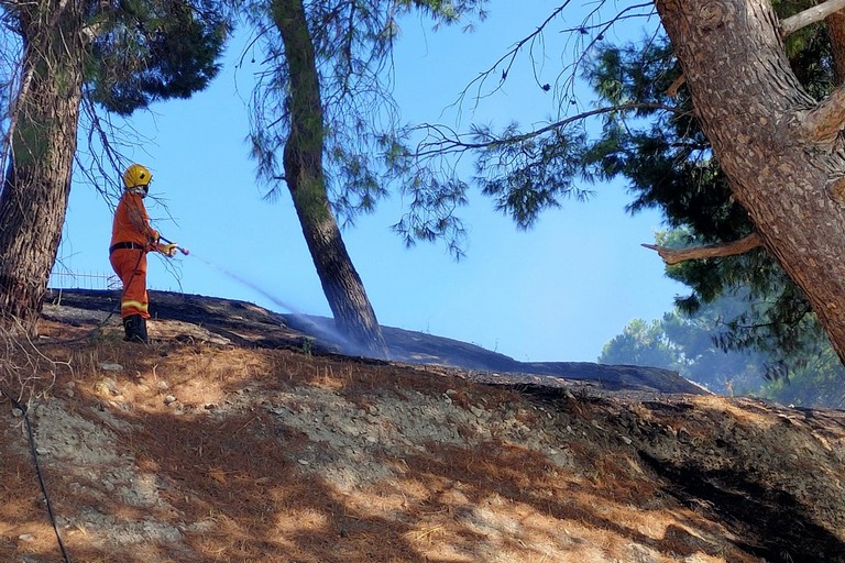 Canosa:  In fiamme la pineta del Castello
