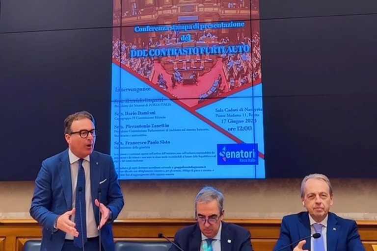 Senatore Damiani