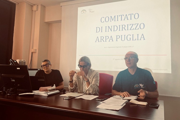 Comitato di Indirizzo:Trisolini-Triggiani-Bruno