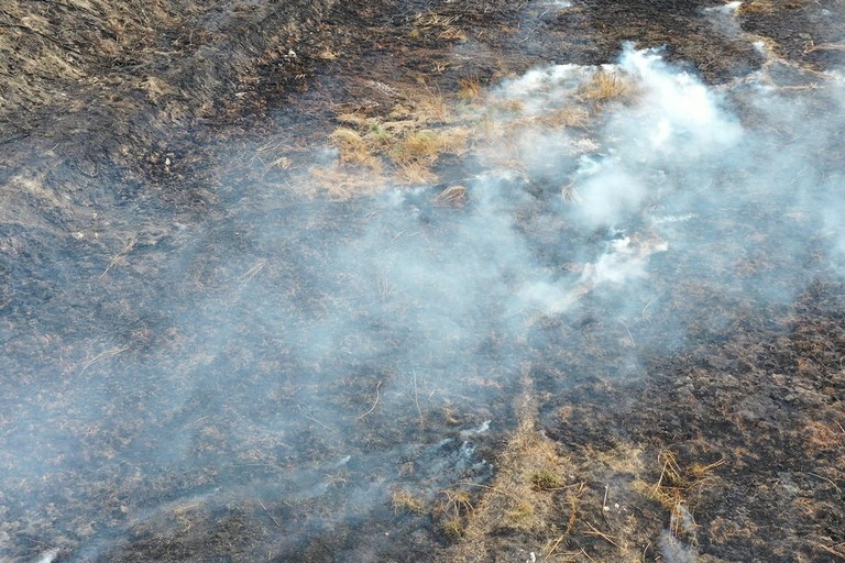 Incendio agosto 2025