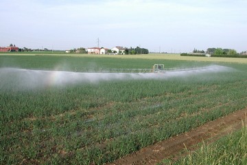 Irrigazione campi