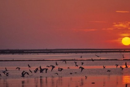 Margherita Le saline