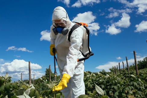 Agricoltura