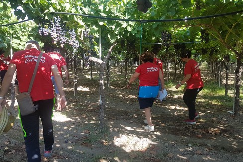 Caporalato Vendemmia agricoltori