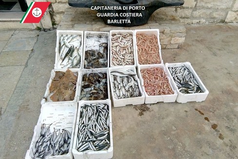 Sequestro- Prodotto ittico