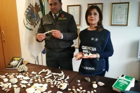 Sequestro coralli Bari