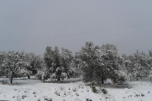 2018 Nevicata Canosa