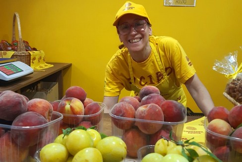Coldiretti :  frutta