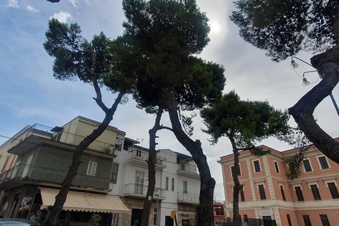 Canosa Verde Pubblico-Mazzini